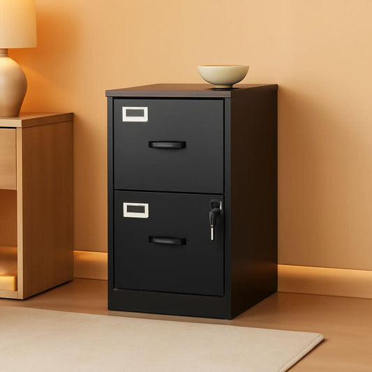 2 Drawer Locking Vertical File Cabinet For Letter Size Files Steel Office Storage